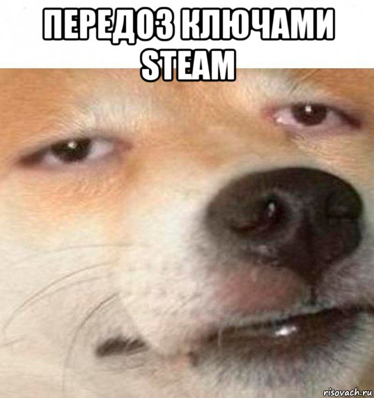 передоз ключами steam , Мем Когда печаль