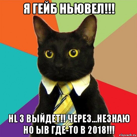 я гейб ньювел!!! hl 3 выйдет!! через...незнаю но ыв где-то в 2018!!!, Мем  Кошечка