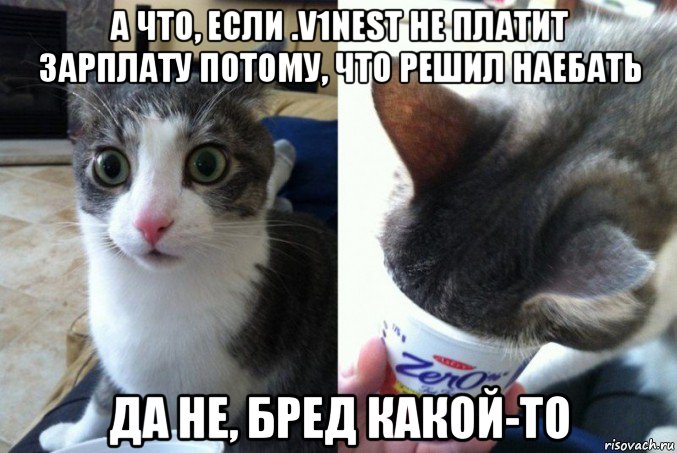 а что, если .v1nest не платит зарплату потому, что решил наебать да не, бред какой-то