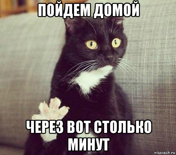 пойдем домой через вот столько минут, Мем Кот дай пять