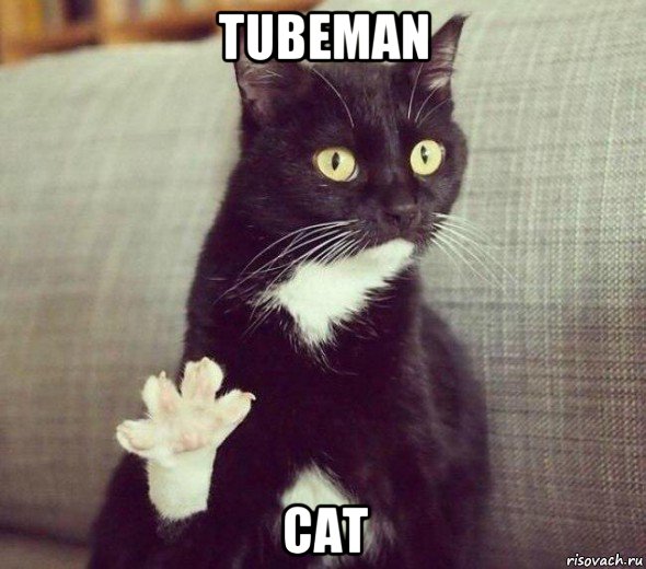 tubeman cat, Мем Кот дай пять