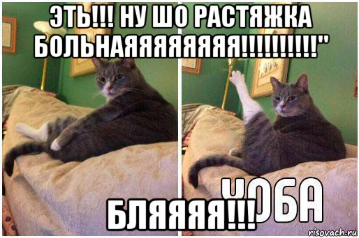 эть!!! ну шо растяжка больнаяяяяяяяя!!!!!!!!!!" бляяяя!!!, Комикс Кот Хоба