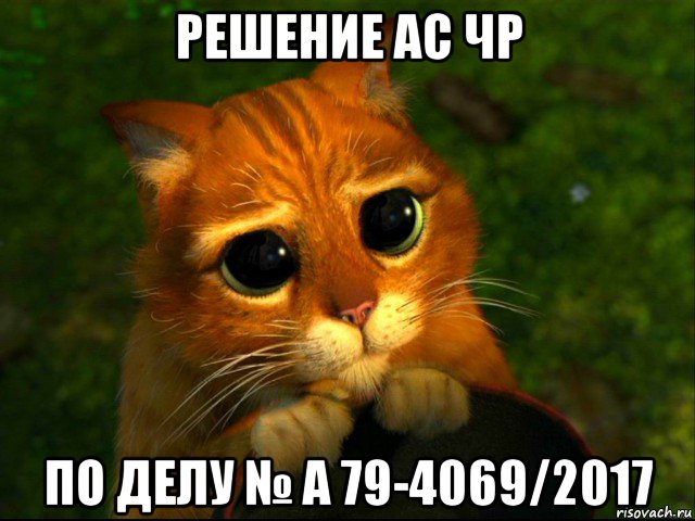 решение ас чр по делу № а 79-4069/2017, Мем кот из шрека