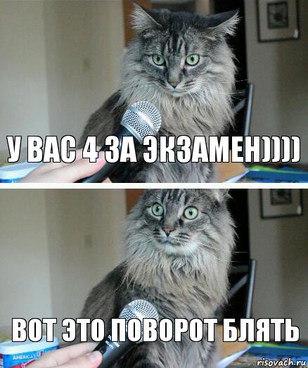 У вас 4 за экзамен)))) вот это поворот блять, Комикс  кот с микрофоном