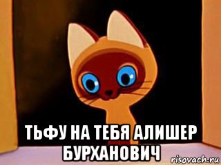  тьфу на тебя алишер бурханович, Мем котенок гав