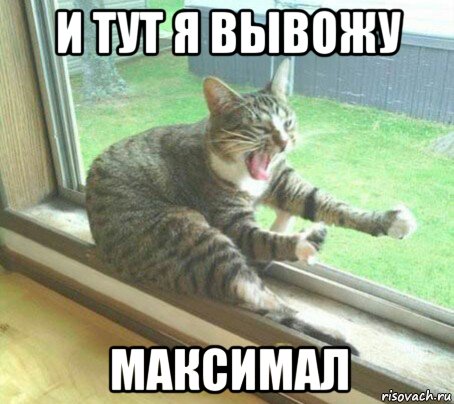 и тут я вывожу максимал, Мем Котяра -летчик