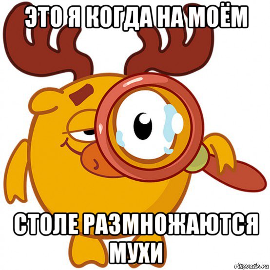 это я когда на моём столе размножаются мухи, Мем Lasoso