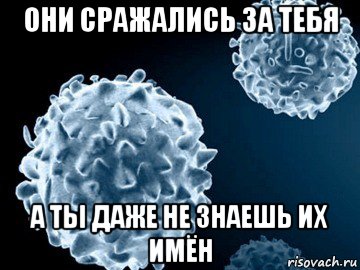 они сражались за тебя а ты даже не знаешь их имён, Мем Лейкоциты