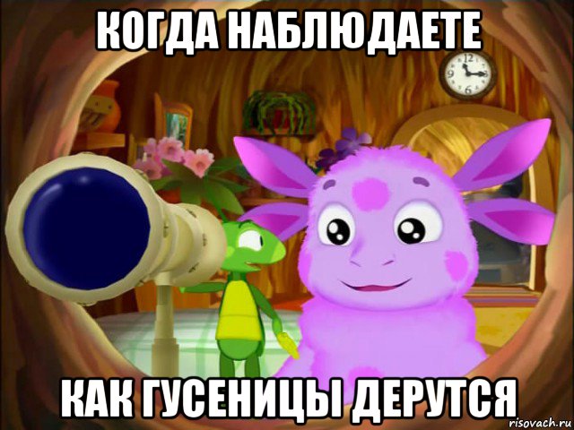 когда наблюдаете как гусеницы дерутся