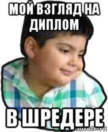 мой взгляд на диплом в шредере, Мем Любящий взгляд