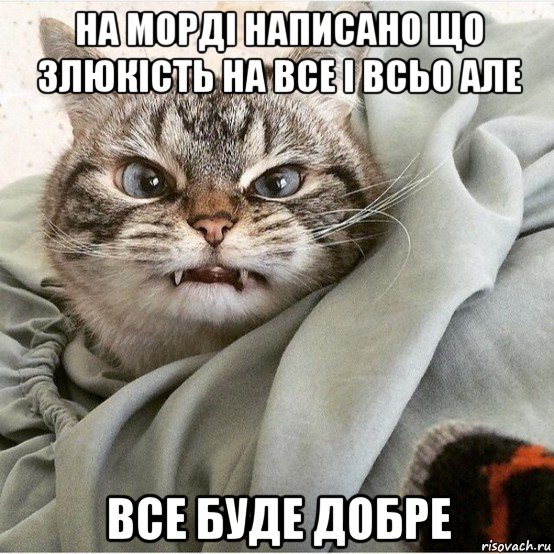 на морді написано що злюкість на все і всьо але все буде добре, Мем Мау мау