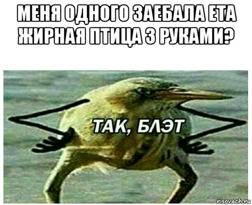 меня одного заебала ета жирная птица з руками? 