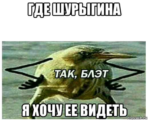 где шурыгина я хочу ее видеть