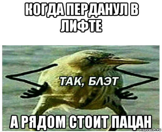 когда перданул в лифте а рядом стоит пацан