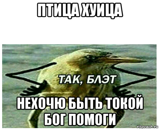 птица хуица нехочю быть токой бог помоги