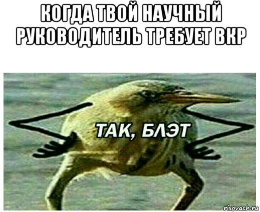 когда твой научный руководитель требует вкр 