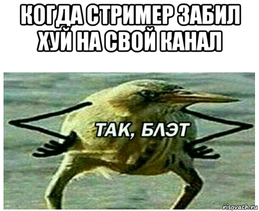 когда стример забил хуй на свой канал 