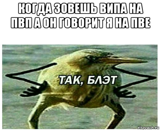 когда зовешь випа на пвп а он говорит я на пве 