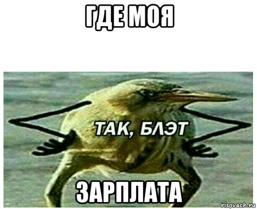 где моя зарплата
