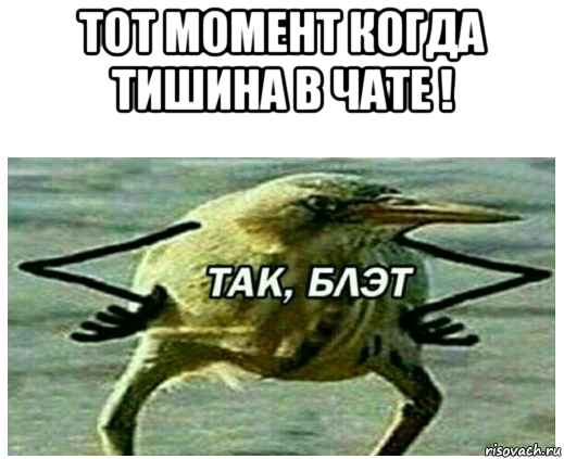 тот момент когда тишина в чате ! 