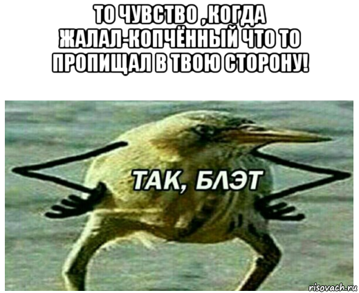 то чувство , когда жалал-копчённый что то пропищал в твою сторону! 