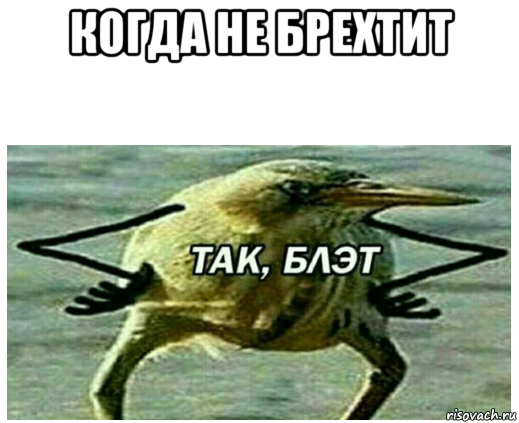 когда не брехтит 