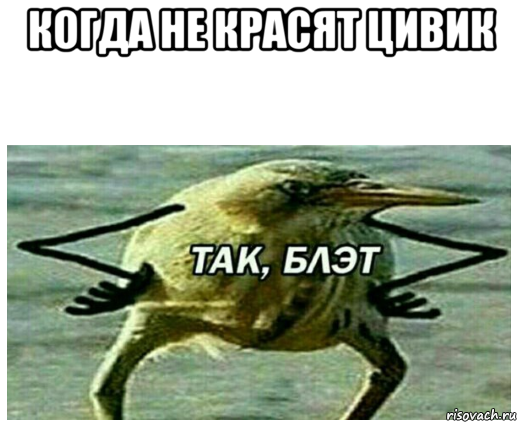 когда не красят цивик 