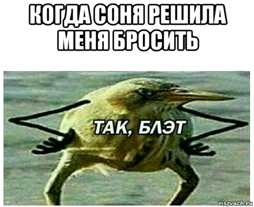 когда соня решила меня бросить 