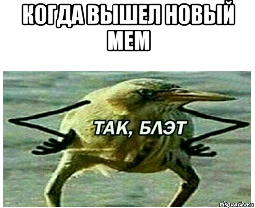 когда вышел новый мем 