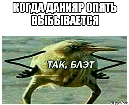 когда данияр опять выбывается 