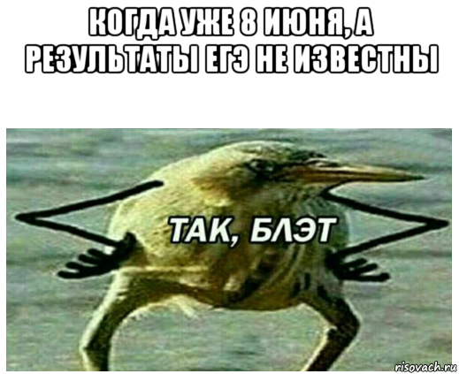 когда уже 8 июня, а результаты егэ не известны 