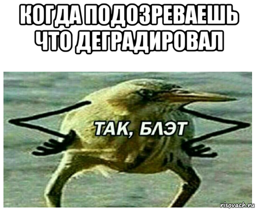 когда подозреваешь что деградировал 