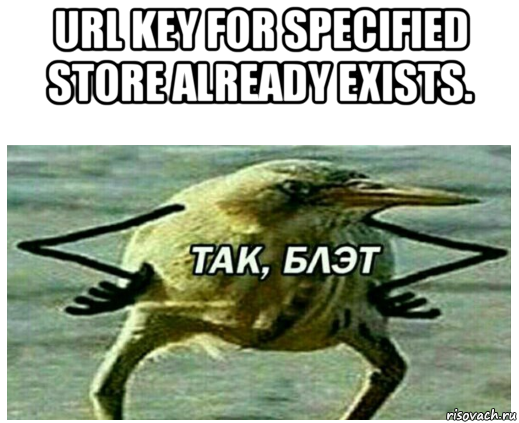 url key for specified store already exists. 