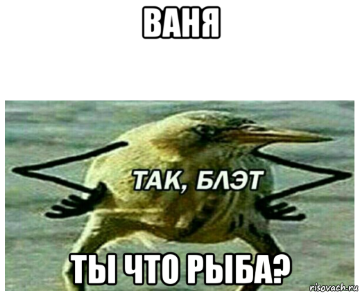 ваня ты что рыба?