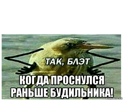 когда проснулся раньше будильника!