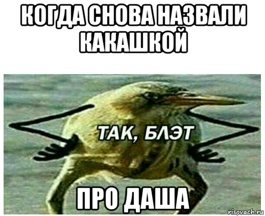 когда снова назвали какашкой про даша