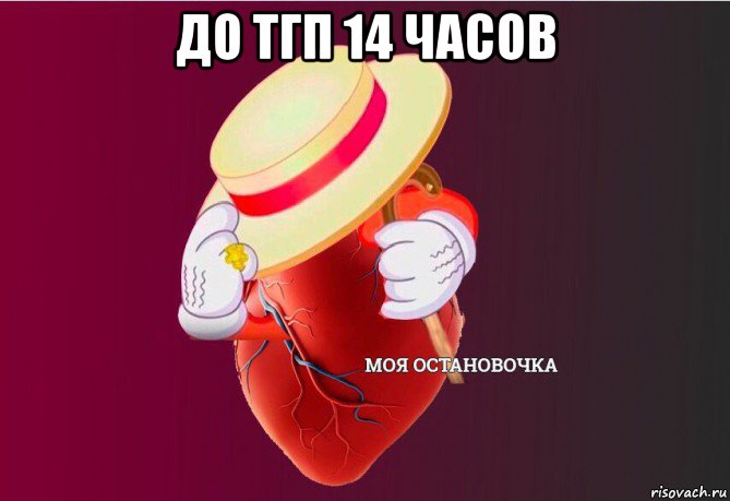 до тгп 14 часов , Мем   Моя остановочка