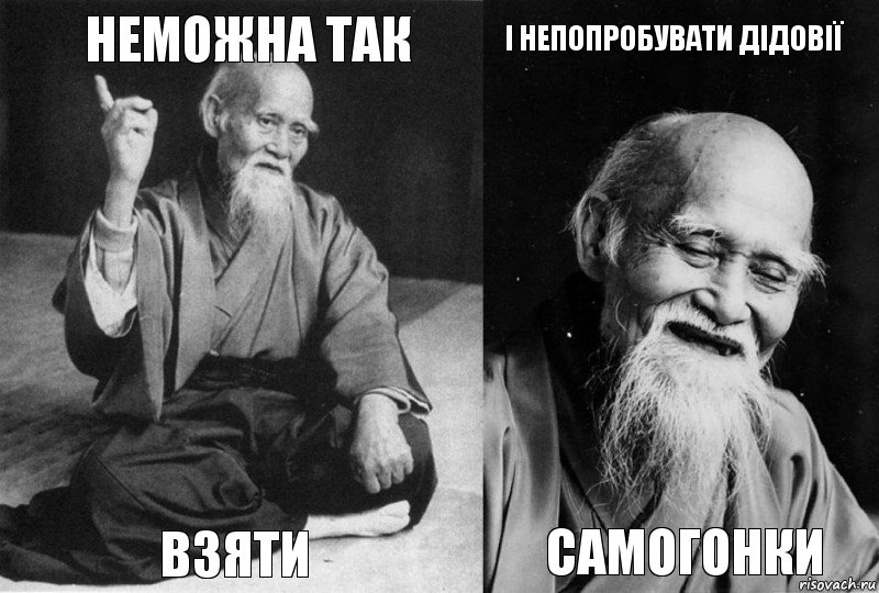 неможна так взяти і непопробувати дідовії самогонки, Комикс Мудрец-монах (4 зоны)