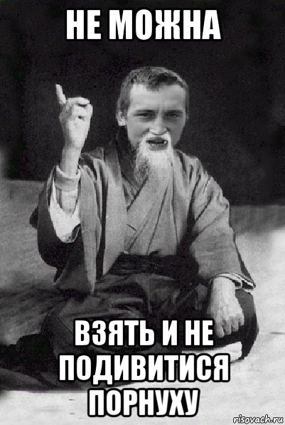 не можна взять и не подивитися порнуху, Мем Мудрий паца