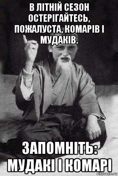 в літній сезон остерігайтесь, пожалуста, комарів і мудаків. запомніть: мудакі і комарі, Мем Мудрий паца