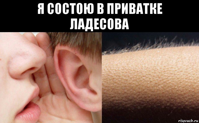 я состою в приватке ладесова 