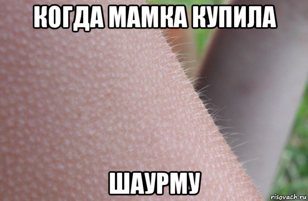 когда мамка купила шаурму