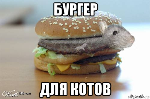 бургер для котов, Мем Мышбургер