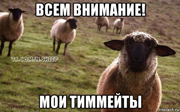 всем внимание! мои тиммейты