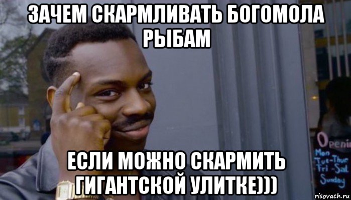 зачем скармливать богомола рыбам если можно скармить гигантской улитке))), Мем Не делай не будет