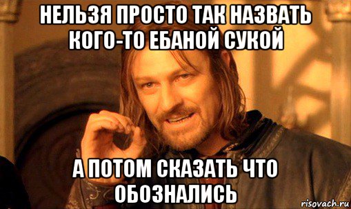 нельзя просто так назвать кого-то ебаной сукой а потом сказать что обознались, Мем Нельзя просто так взять и (Боромир мем)