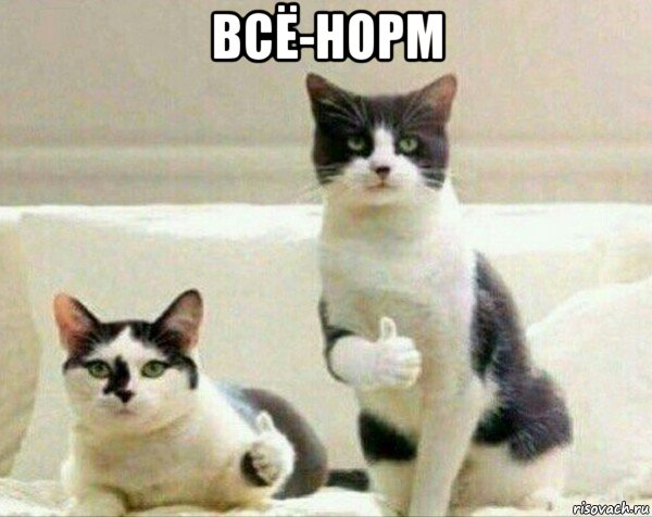 всё-норм , Мем Норм