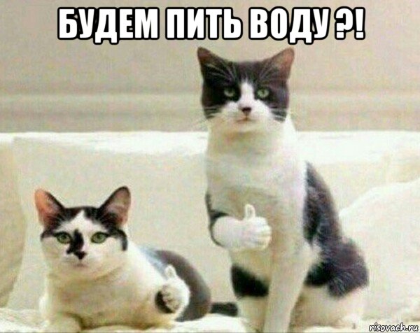 будем пить воду ?! , Мем Норм