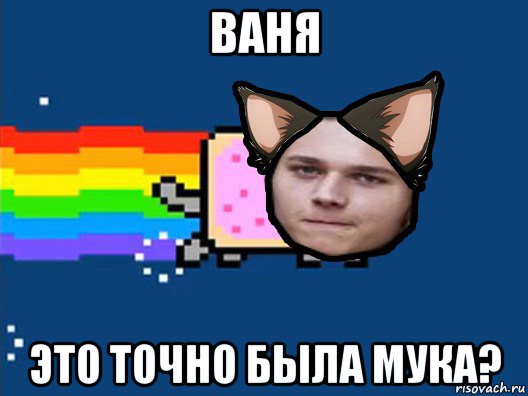 ваня это точно была мука?, Мем Нян Кэт в Реальной Жизни