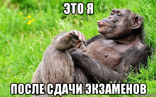 это я после сдачи экзаменов, Мем О